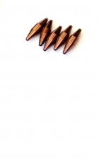 SMI FERRULE