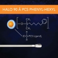 SM - 90 A PCS Phenyl Hexyl UPDATED Thumbnail